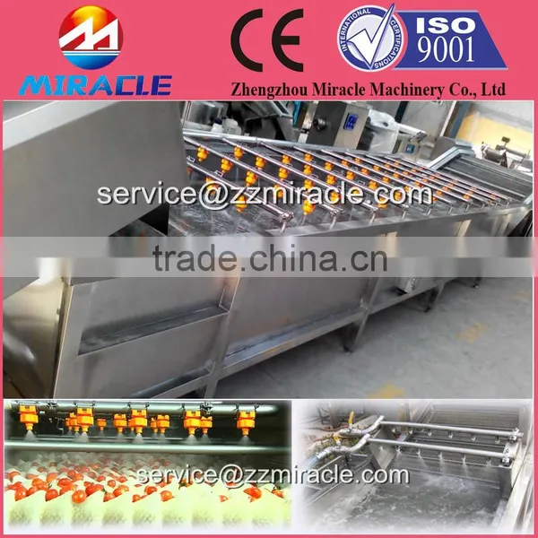 Fresh Date High Pressure Air Bubble Cleaning Machine to Clean Date/dates Washing Machine Price