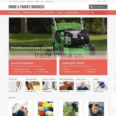 Ecommerce Website Design photo-2