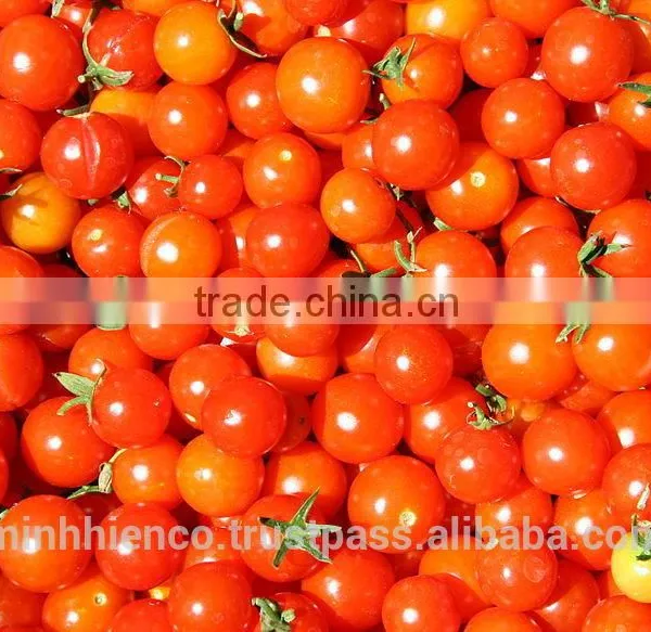 Pickled Tomatoes in 1500ml Glass Jar and 720ml Glass Jar.