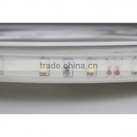 SDSLED IP68 60LED/m Warm White DC12V 3528 Waterproof LED Strip Light photo-3
