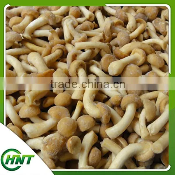 Iqf Frozen Nameko photo-2