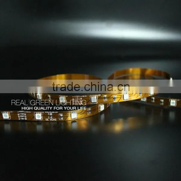12V 5050 Indoor Use LED Strip Lights photo-2