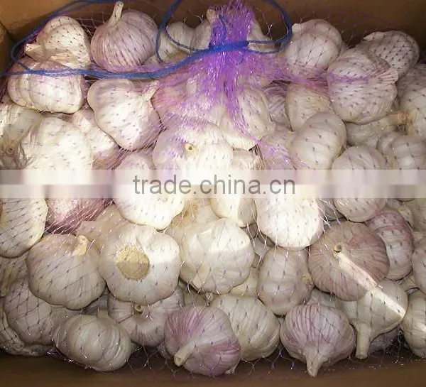ginger garlic paste