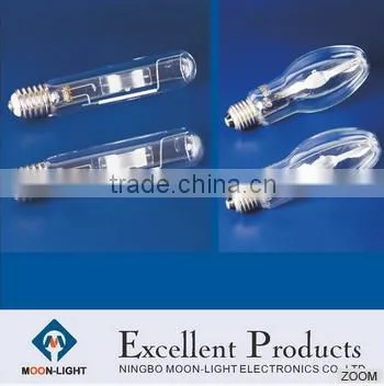 Wholesales Price 400w Metal Halide Lamp for Flood Light