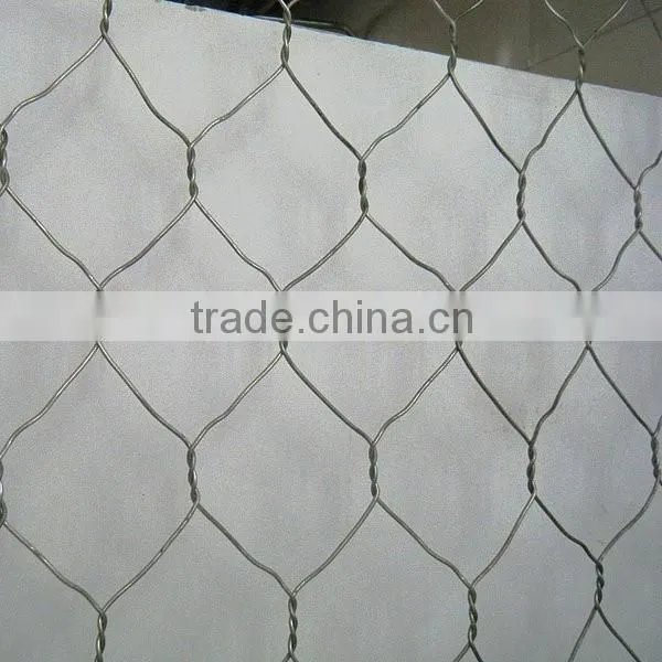 Pvc Chicken Coop Galvanized Wire Mesh photo-2