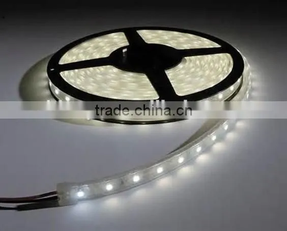 High Quality Led Strip Lighting for Chiristmas Guangzhou Led Strip Light Supplier photo-3