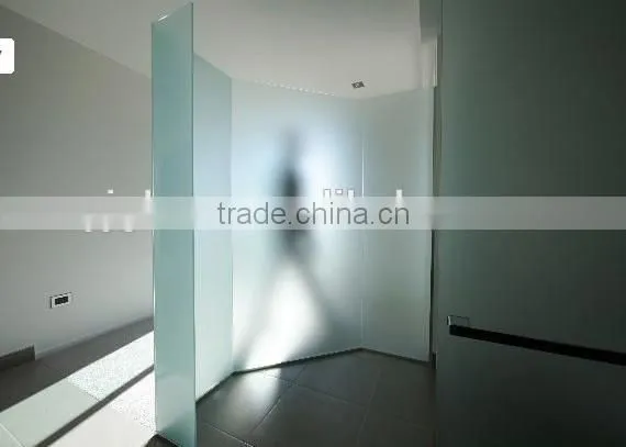 Sandblasted Glass for Shower Doors Design photo-3