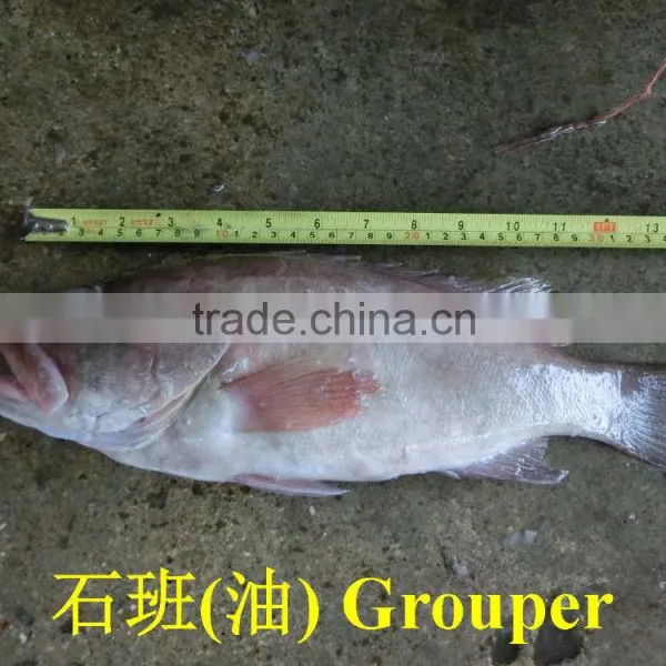Grouper