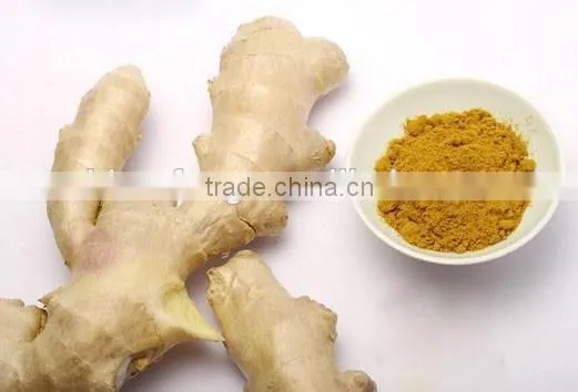 Best Ginger Powder Price/benefits of Ginger Powder