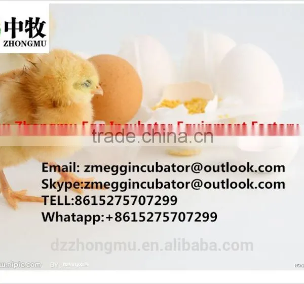 2016 Best Selling Turkey Egg Incubator Full Automatic 3872 Egg Incubator photo-6