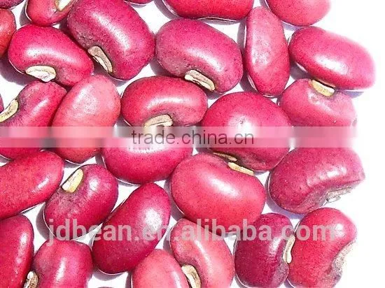 Crop 2015 New Crop Red Cowpea Beans photo-2