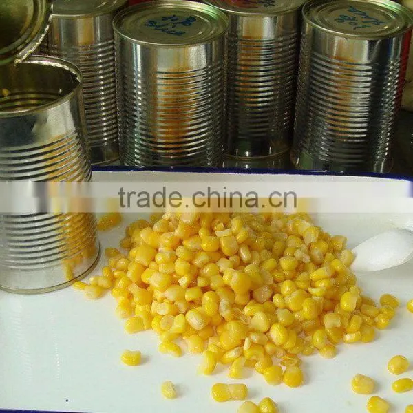 Canned Sweet Corn Kenels Kenel Fruit Vegetable Supplier for Russia photo-4