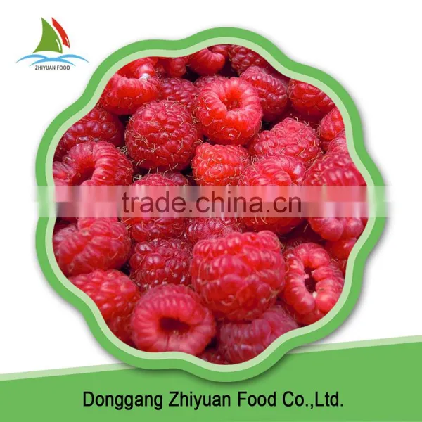 Chinese IQF Frozen Raspberry Crumble in Good Quality in Bulk photo-6