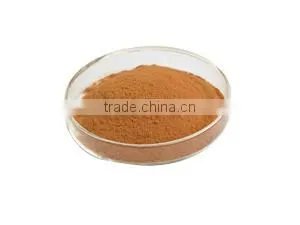 Top Quality Skin Caring Rhodiola Rosea Extract Pure Salidrosides 5% With A Discount photo-3
