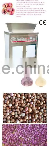FX-128-2 Hot Sale Large Capacity Garlic Peeling Peeler Machine photo-3