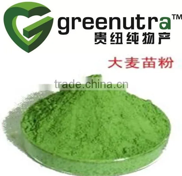 Natural Wheat Grass Powder photo-2