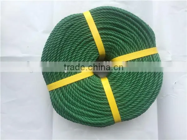 High Quality Latest Assort Color 3 Or 4 Strands PP Ropes photo-4