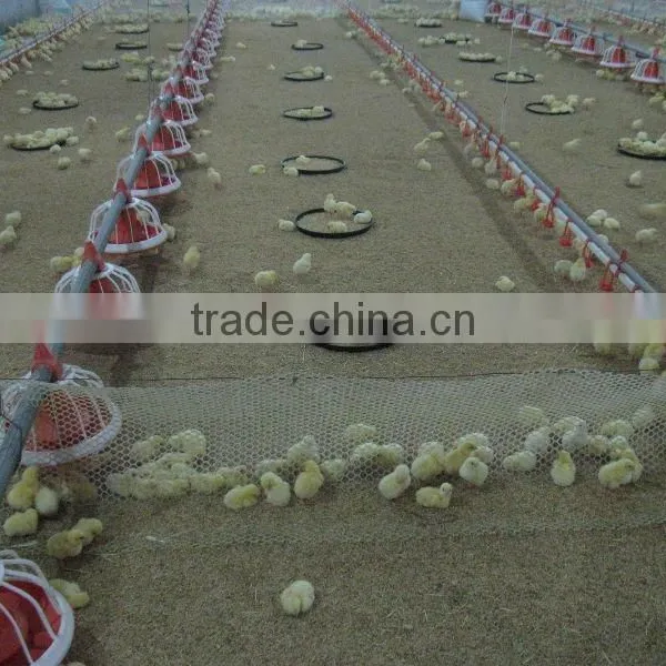 Automatic Broiler Pan Feeding System for Chickens photo-4