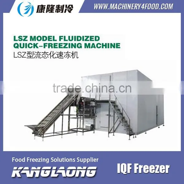 High Quality IQF Frozen Fruit Mango Machine With Good Price photo-3