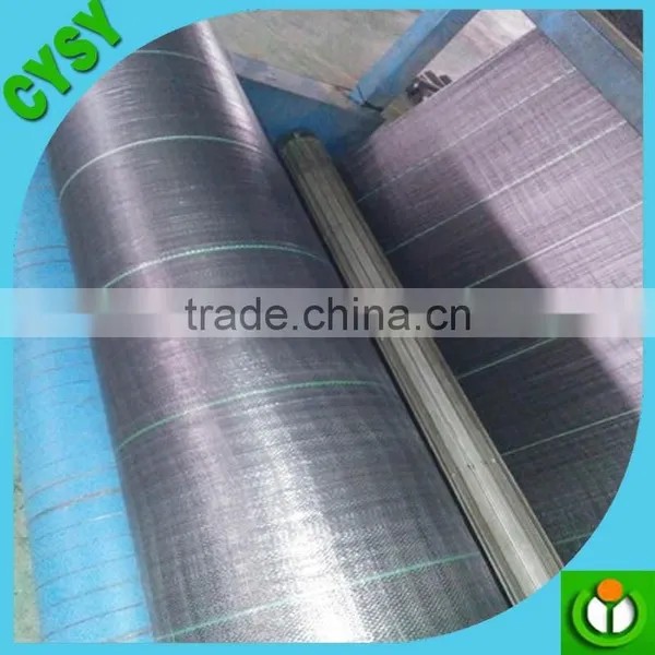 Anti Weed Mat Weed Control Ground Cover, Ground Cover Supplier, pp Woven Camping Mat photo-2