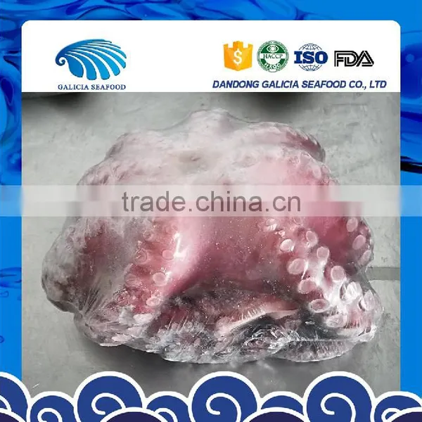 Frozen Cut Octopus photo-2