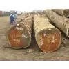Roko Lumber , Bubinga Lumber , Teak Lumber,tali,azobe,sipon,iroko,sappeli,dossies and Other Lumber Woods and Square and Round Logs photo-2