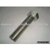 Hexagon Bolt