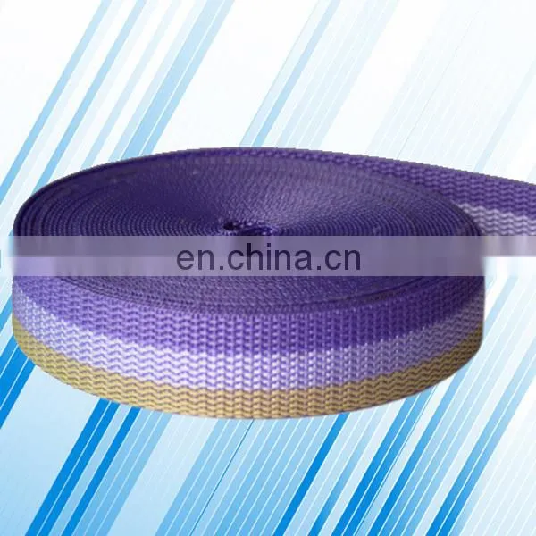pp Belt photo-2