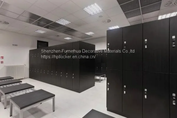 Yoga and Gym Dressing Room Locker 2 Doors Locker photo-2