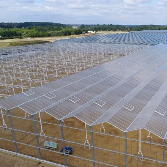 PC Hollow Sheet Multispan Commercial Greenhouse for Agriculture