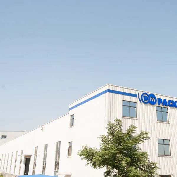 Shandong Dmpack Tech Co., Ltd. company overview - view 1