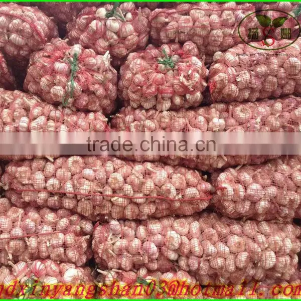 (NEW) 2015 China Fresh Garlic Enjoying High Reputation at Abroad photo-2