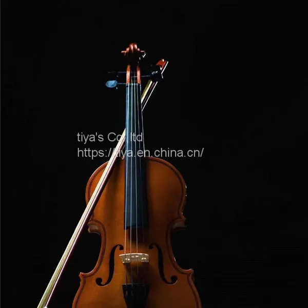 High Quality Antique Style Nice Flamed Ebony Parts Student Violin photo-5