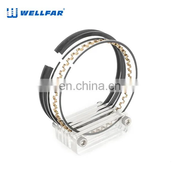 2M5615 Wellfar GM 350CID 5.7L Engine Piston Rings For GM BLAZER, C SERIES, CAPRICE, CENTURY, CHEVELLE, CUSTOM, CUTLASS Car photo-3