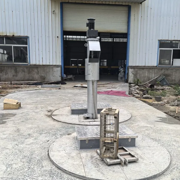 Supply Feiyuan Water Industry Vertical Spiral Screen Machine Dry and Wet Separation Conveying Equipment photo-2