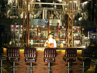 Copper Brewing Equipment for Craft Beer Production With CIP Cleaning System photo-2