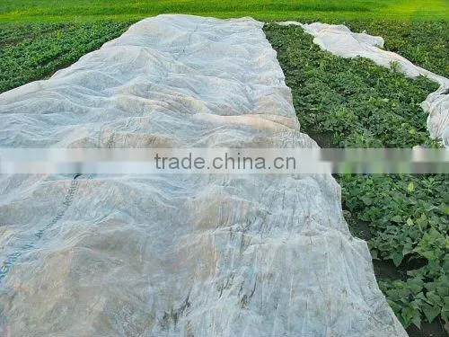 Nonwoven Frost Protection Cover photo-2