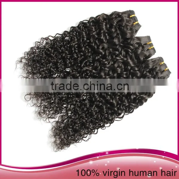 Wholesale Unprocessed Brazilian Human Hair Extension, Afro Women Kinky Curly Human Hair Extension photo-4