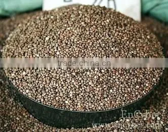 Brown Perilla Seed Wholesale, 2014 Harvest