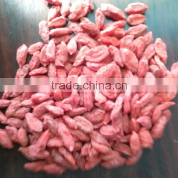 Excellent Dried Gojiberry