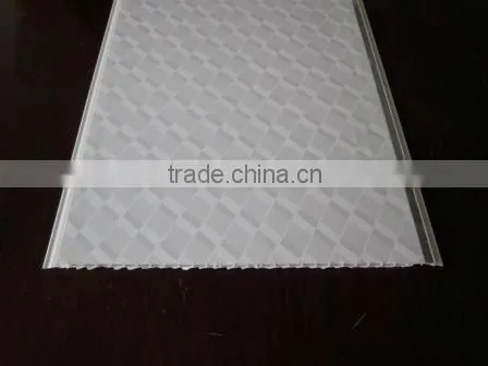 Pvc Panel Hot-selling of Good Quality 25cm for Africa photo-3