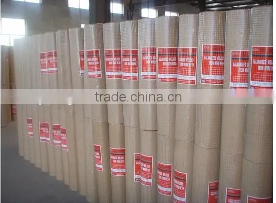 Low Price Electro Galvanized Welded Wire Mesh Made in China photo-3
