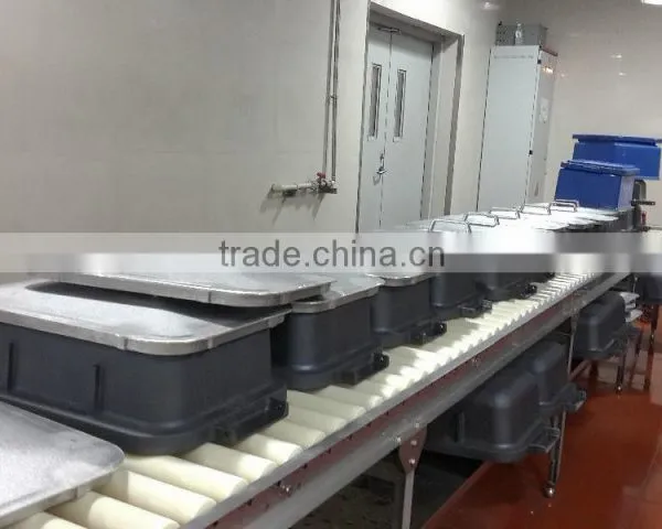 Pallet Conveyor Systems photo-3