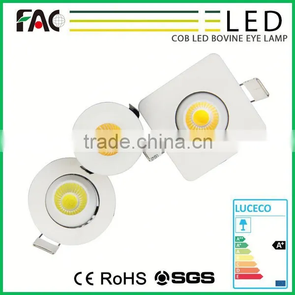 Germany Outdoor Cob Wireless Pin Spot Light photo-6