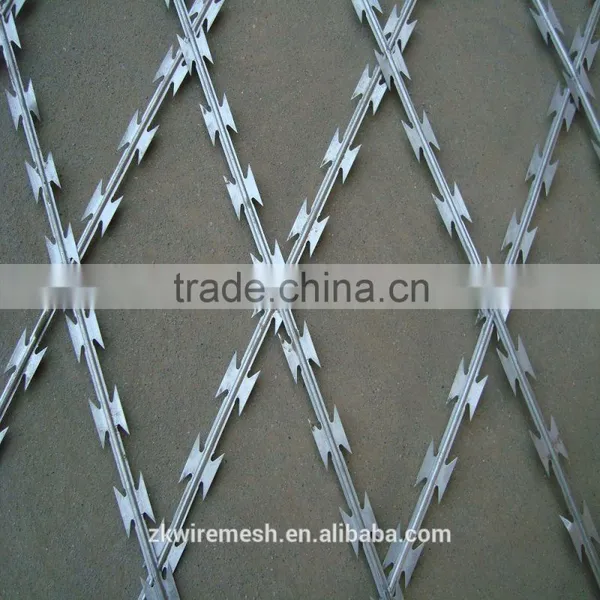 2014 Hot Sale Razor Barbed Wire photo-3