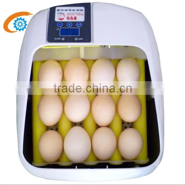 Hot Sale 12 Egg Incubator Mini Incubator