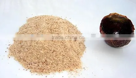 SOAPNUT POWDER FOR AYURVEDIC REMEDY photo-4
