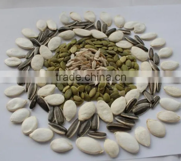 Popular Products Chinese Pumpkin Seeds photo-4