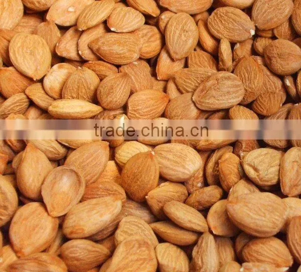 Apricot Kernels