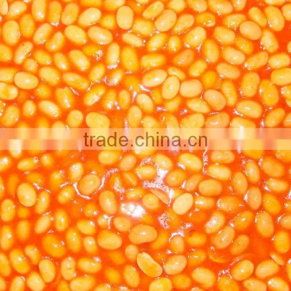 CANNED SOYBEAN IN TOMATO SAUCE
